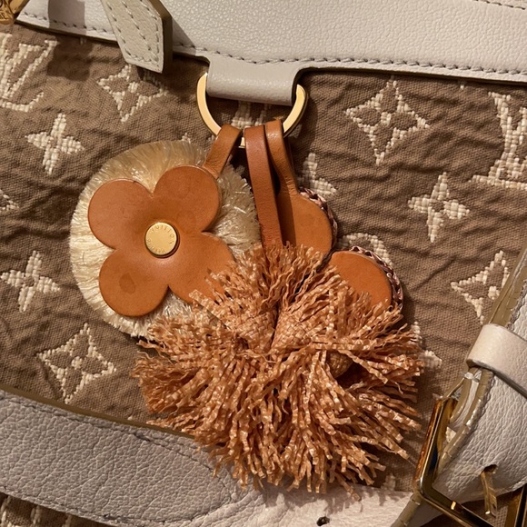 Louis Vuitton Buzas PM Rare Tote - Picture 2 of 11